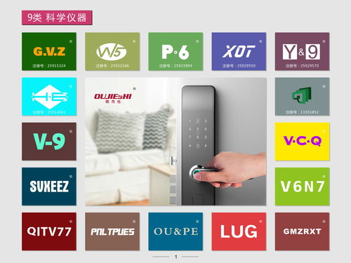 北京网络技术服务 连接未来，赋能首都数字发展